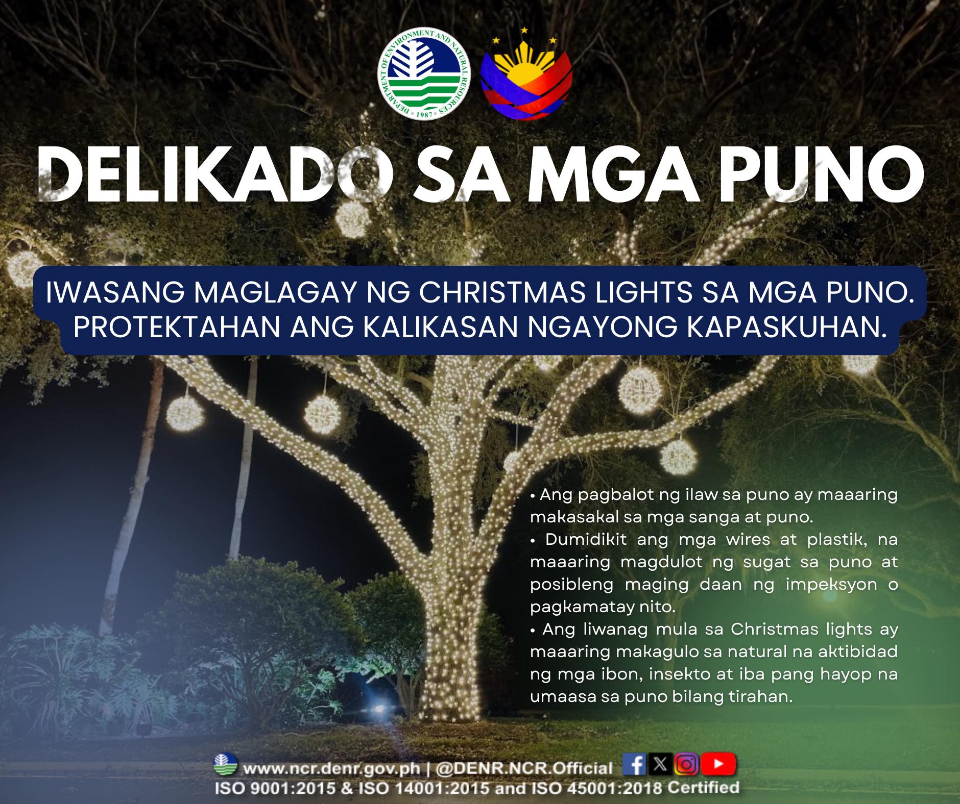 DENR appeals to public: Don"t decorate trees with Christmas lights