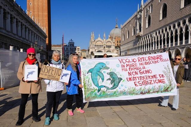People hold signs and a banner calling for the protection of Mimmo, a dolphin living in the Venetian lagoon, during a demonstration in St. Mark's Square, amid growing concerns about the impact of tourism on the animals, in Venice, Italy, November 8, 2025. REUTERS/ Manuel Silvestri