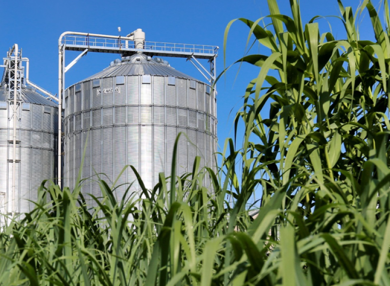 Group urges policymakers to promote biodiesel for sustainable energy