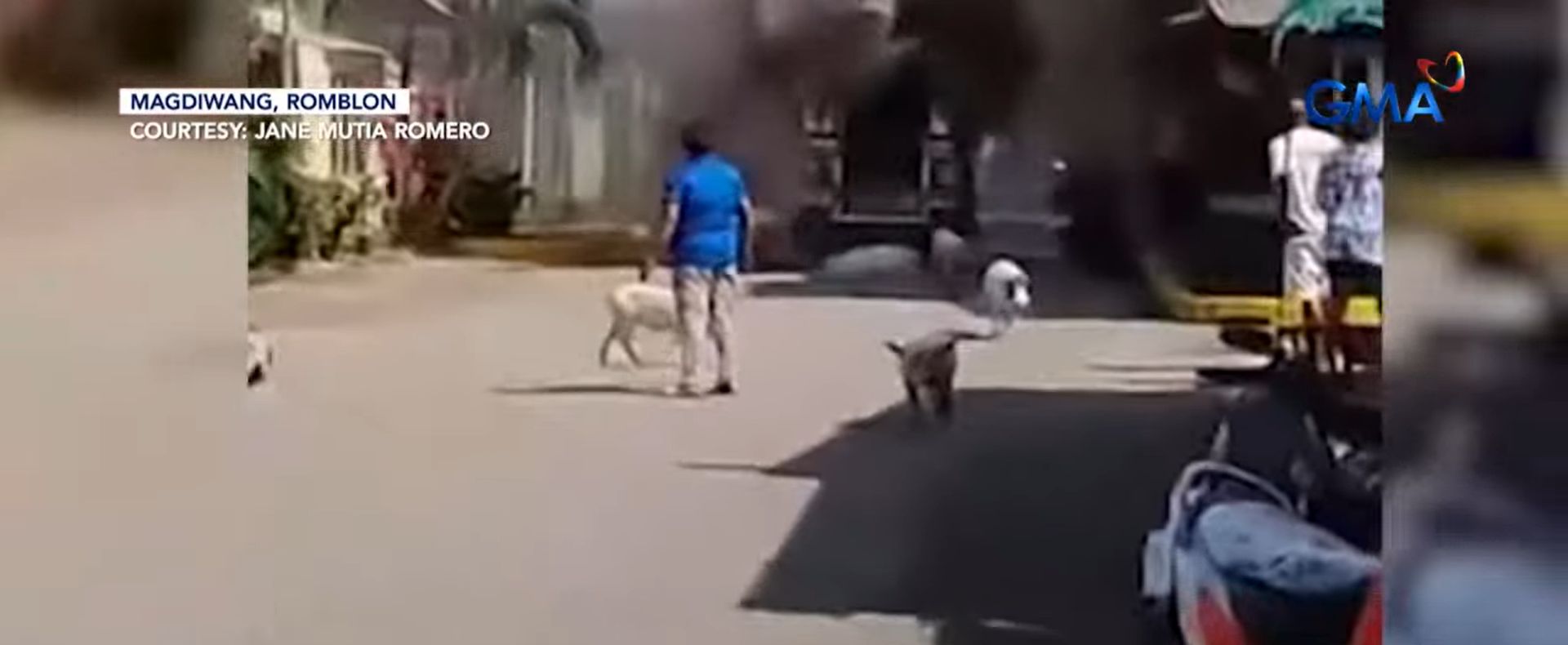 Mga baboy, nakawala at nagsitakbuhan mula sa nasunog na jeepney sa Romblon