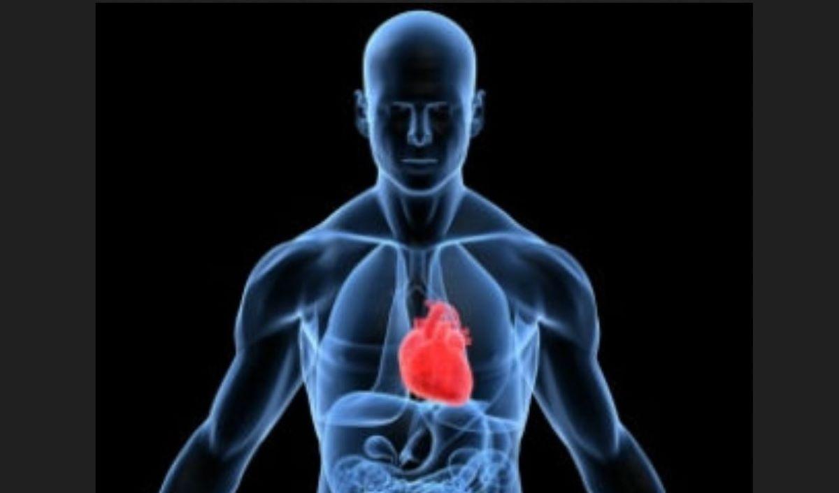 Your heart may not be as old as you, doctors say