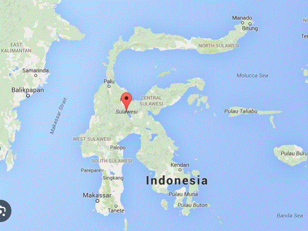 Blasts injure dozens at Indonesian mosque, student seen as suspect