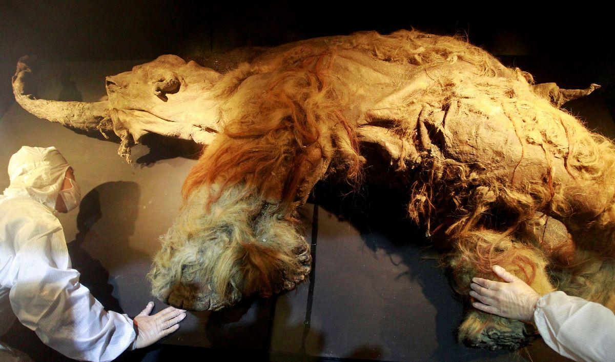 RNA recovered from Siberian mammoth that died 39,000 years ago