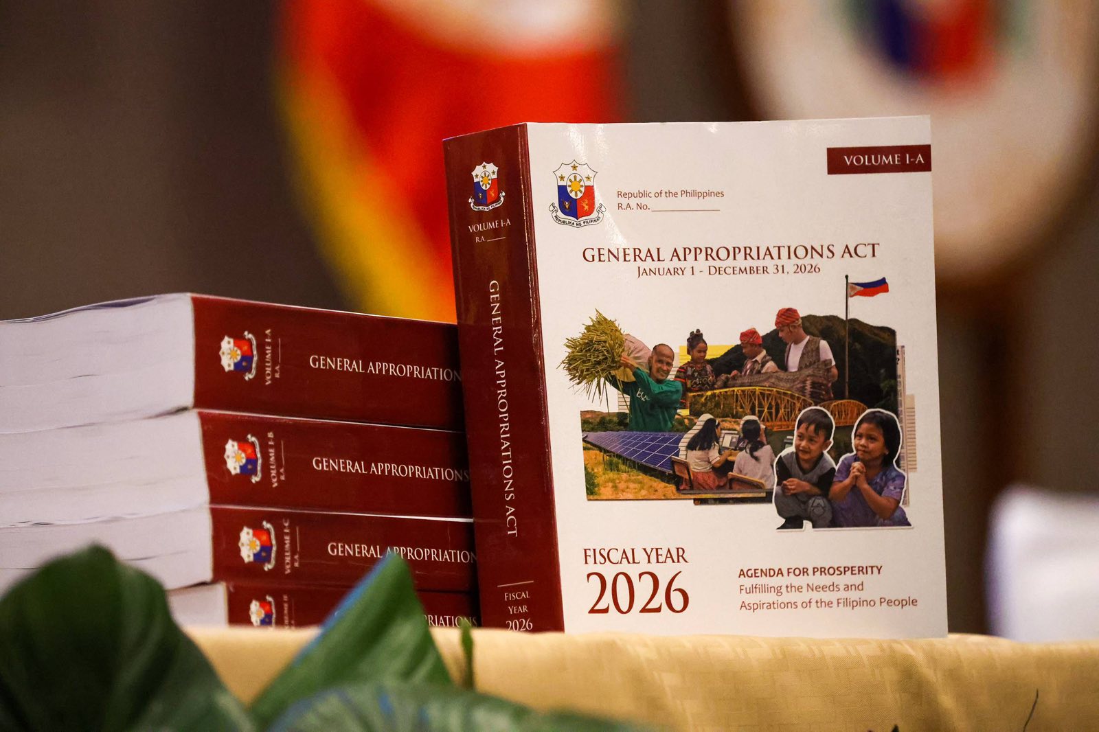 EXPLAINER: What is the 'Anti-Epal" provision in the 2026 national budget bill?