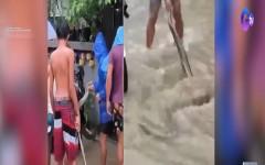 Malaking sawa na lumutang sa baha sa Legaspi City, hinuli ng mga residente