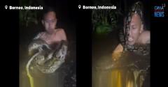 Snake hunter na nahulog sa ilog at pinaluputan ng malaking sawa, makaligtas kaya? 