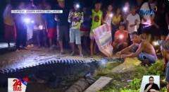 Malaking buwaya na hinihinalang nasa likod ng pagkawala ng mga aso, hinuli ng mga residente