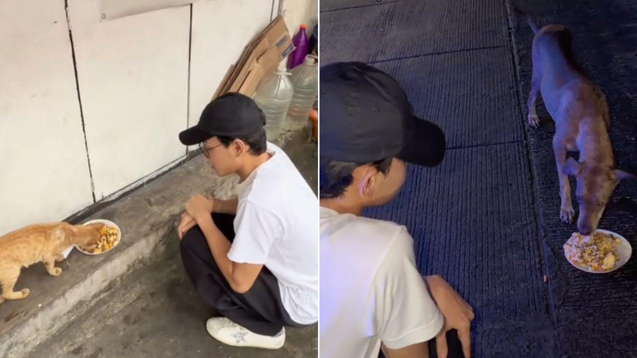 Esnyr spends birthday giving food to street dogs and cats