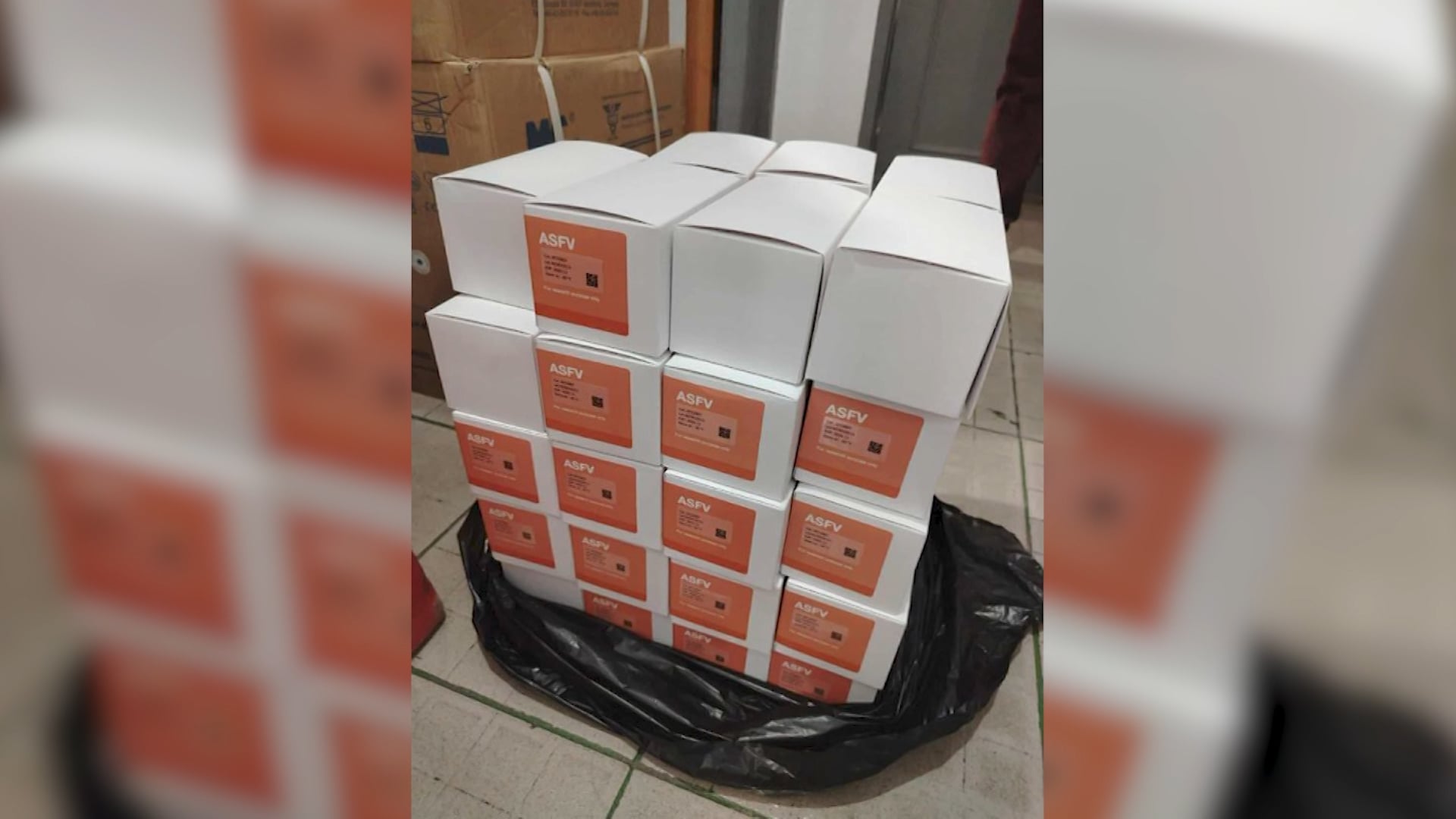 Expired ASF test kits found in Bacolod City LGU cold storage