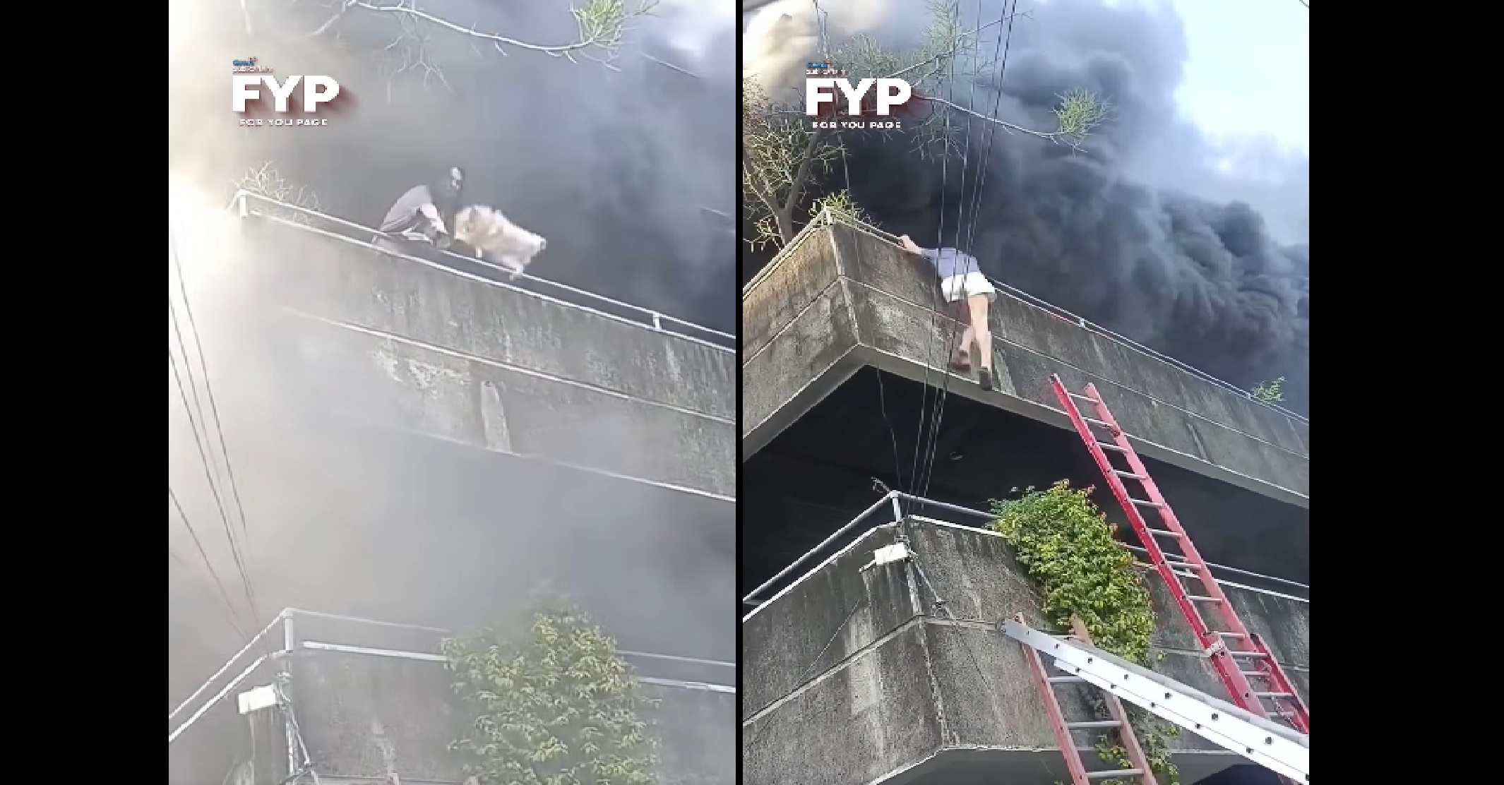 Babae, unang iniligtas ang mga alagang aso bago ang sarili sa nasusunog nilang bahay sa Cebu