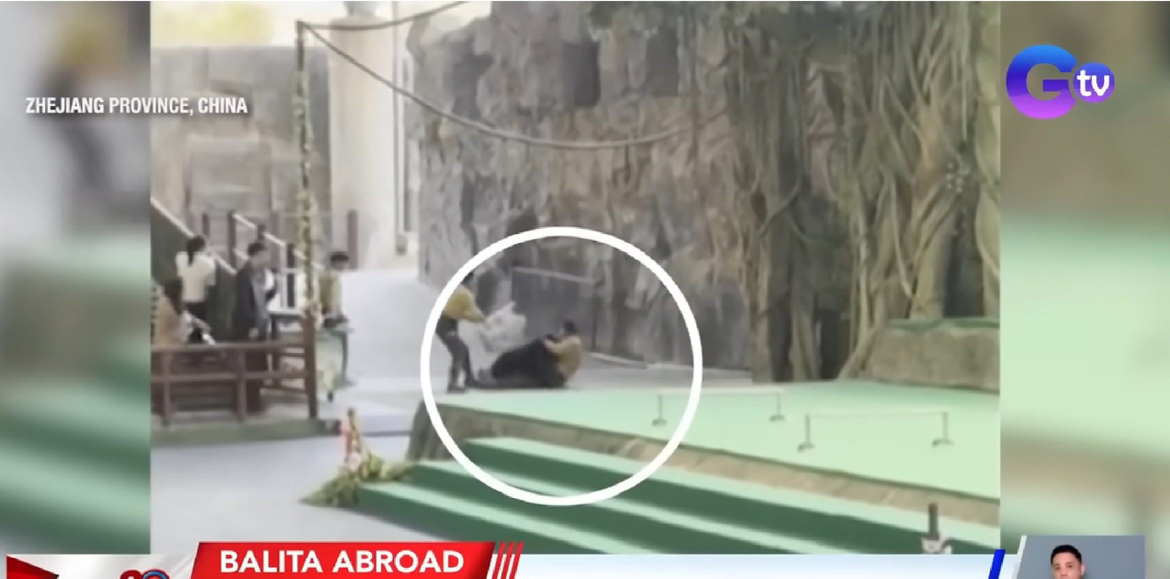 Oso, inatake ang handler sa gitna ng live performance sa wildlife park sa China