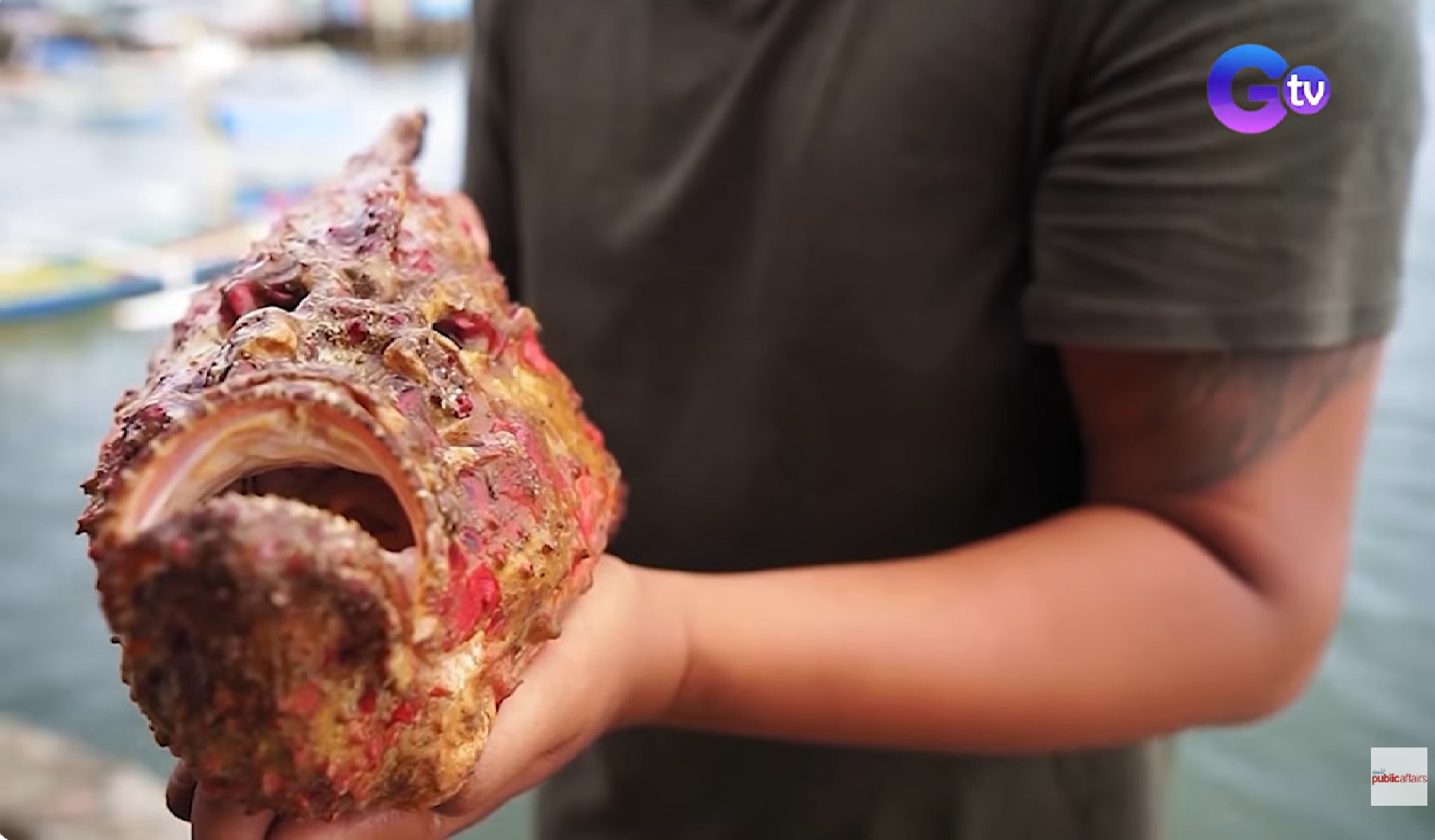 Stonefish o ‘bantol’ na pinakamakamandag na isda sa buong mundo, puwedeng kainin?