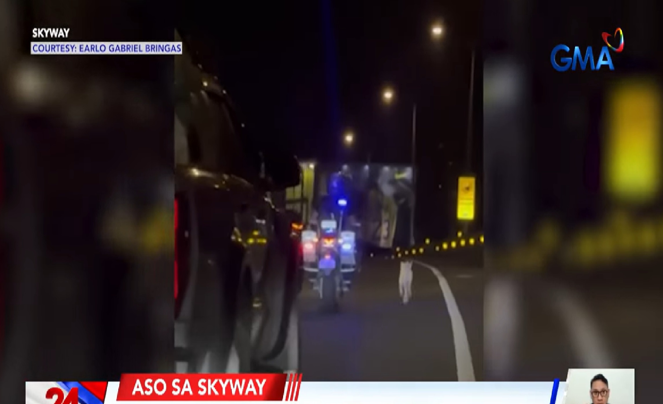 Aso na naligaw sa Skyway, inalalayan na ligtas na makalabas sa lugar