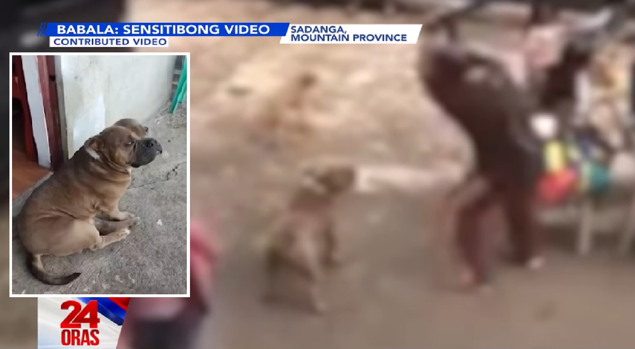 Masamang paniniwala, nagtulak umano sa lalaki para patayin ang aso na inihian siya sa Mt. Province