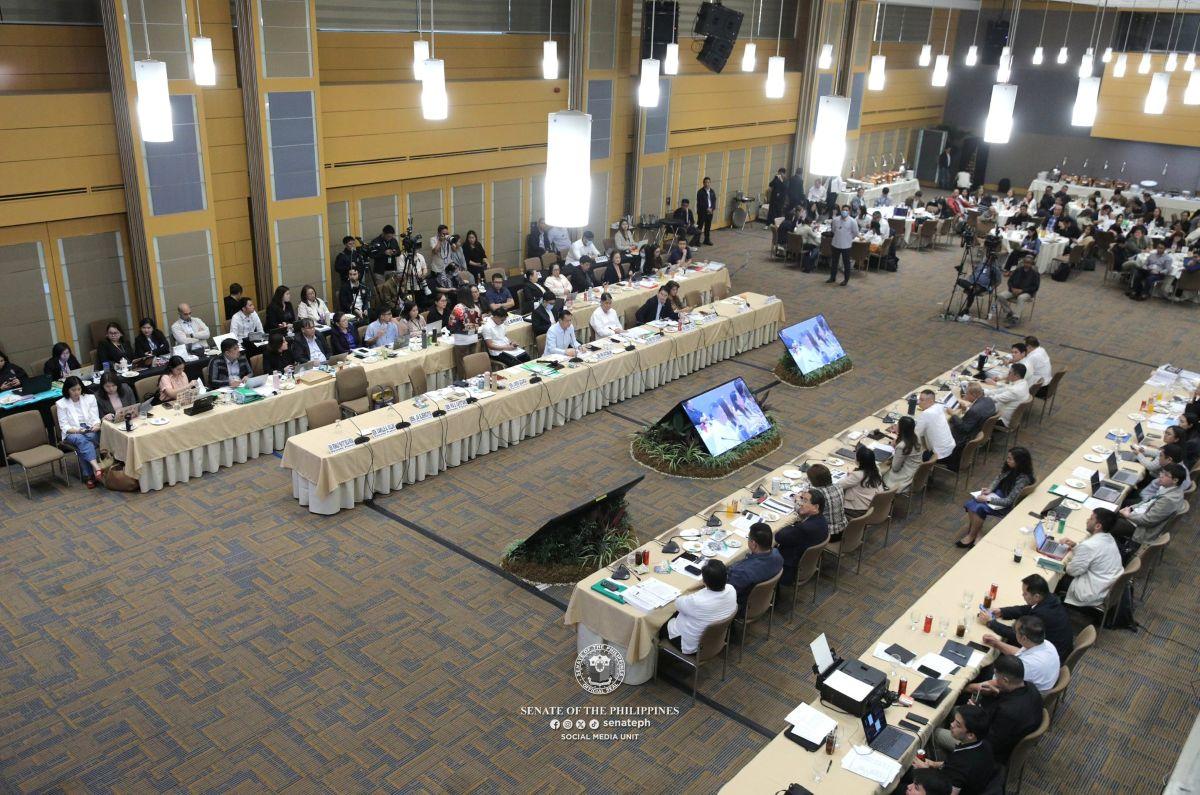 Bicameral Conference Committee meeting for proposed 2026 budget