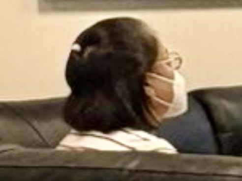 Sarah Discaya surrenders to NBI 