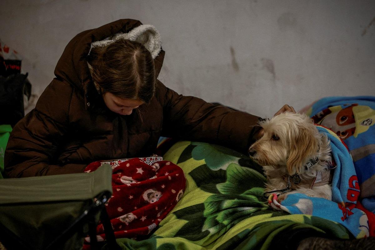 Czechs fundraise over $6 million to buy generators for freezing Ukraine