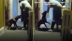 Aso na inatake ang kaniyang amo, pinagbabaril ng pulis sa US