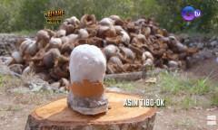 Asin Tibuok ng Bohol na isinama sa urgent safeguarding list ng UNESCO, alamin kung paano ginagawa