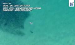 Ilang beach sa east coast ng Australia, isinara dahil sa sunod-sunod na shark attacks