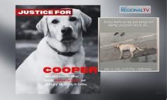 Asong nakawala, patay sa hambalos ng vendor sa Mandaue City