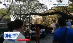 4 na sasakyan na pababasbasan sa Manaoag Basilica, nabagsakan ng puno