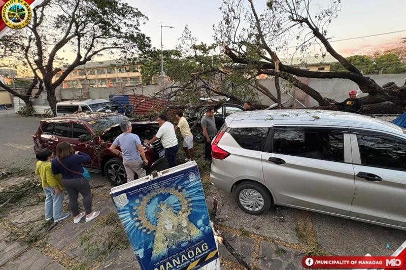 4 cars lined up for blessing in Manaoag church, damaged by a fallen tree