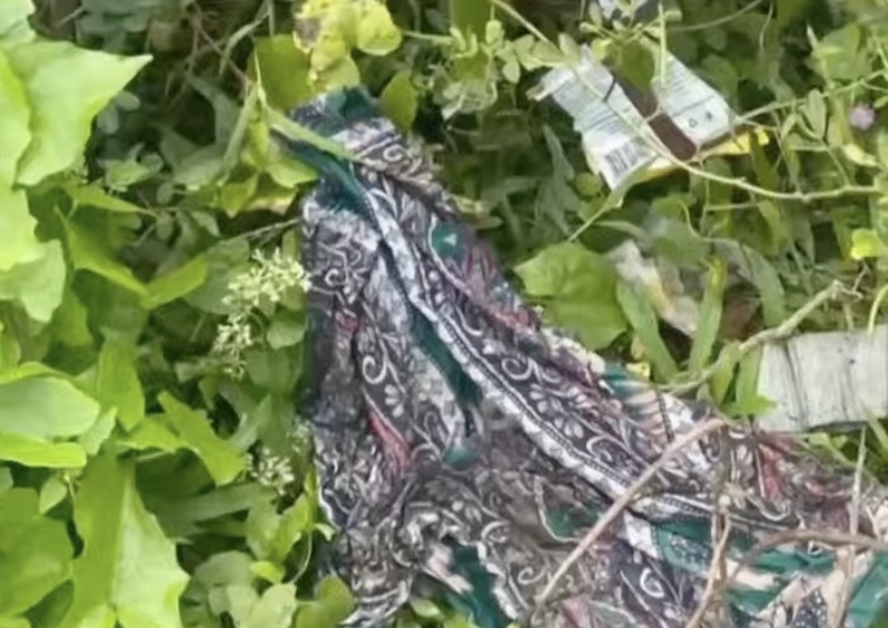 Head of baby suspected to have been aborted found in Minglanilla, Cebu