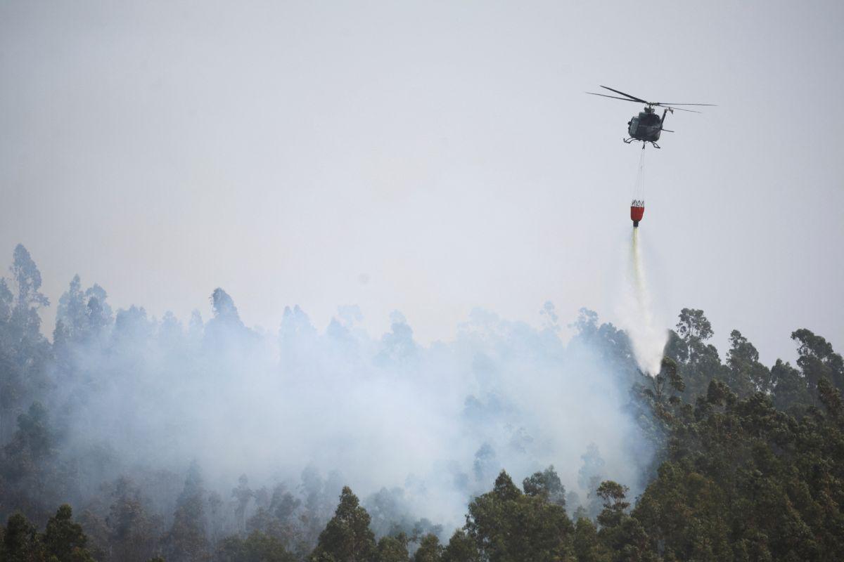Wildfire burns in Chile 