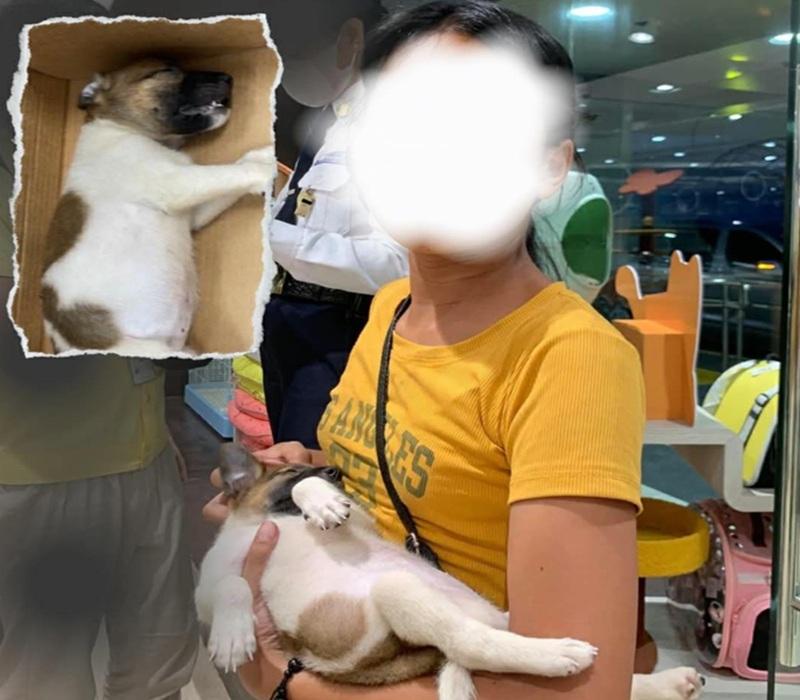 Mall guard found guilty for throwing puppy from footbridge in Quezon City