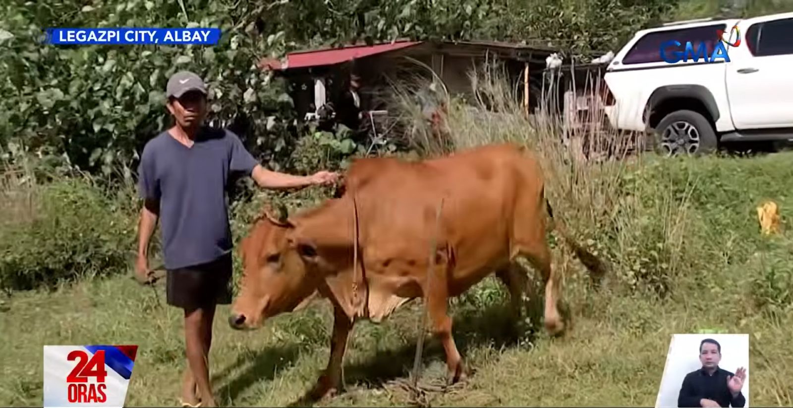 Legazpi LGU orders evacuation of farm animals amid Mayon unrest