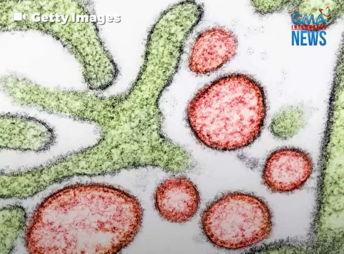 What is Nipah virus?