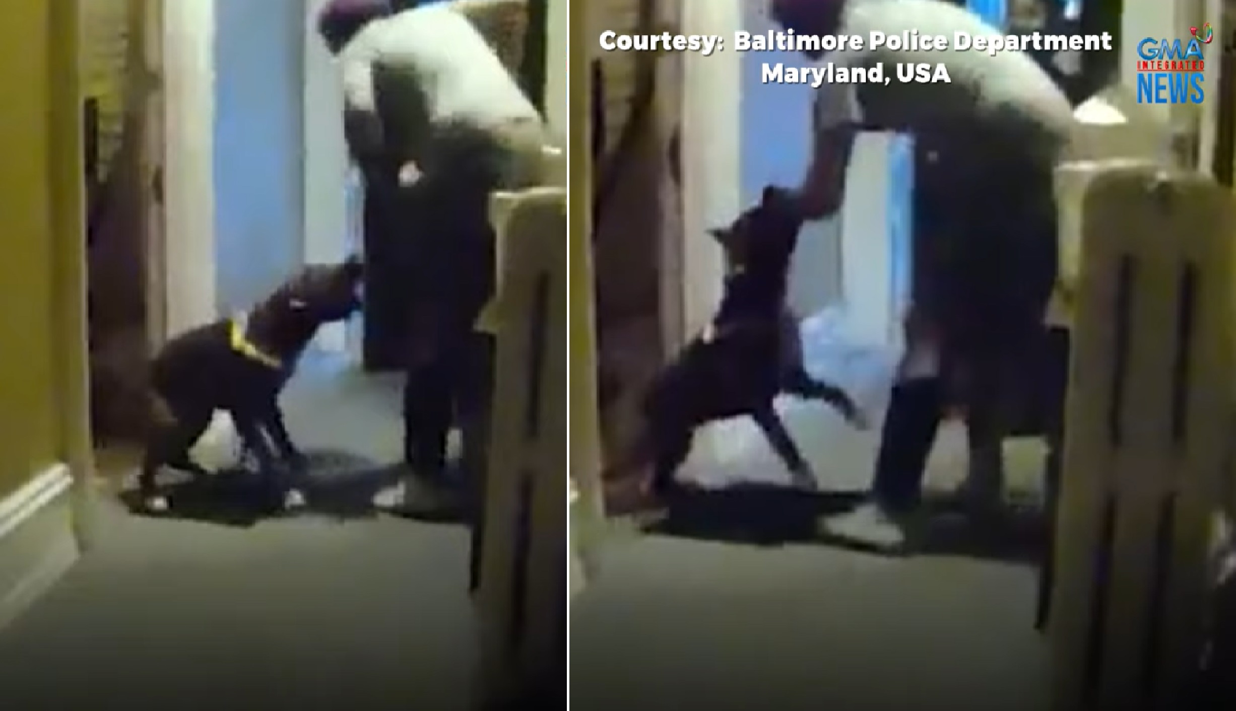 Aso na inatake ang kaniyang amo, pinagbabaril ng pulis sa US