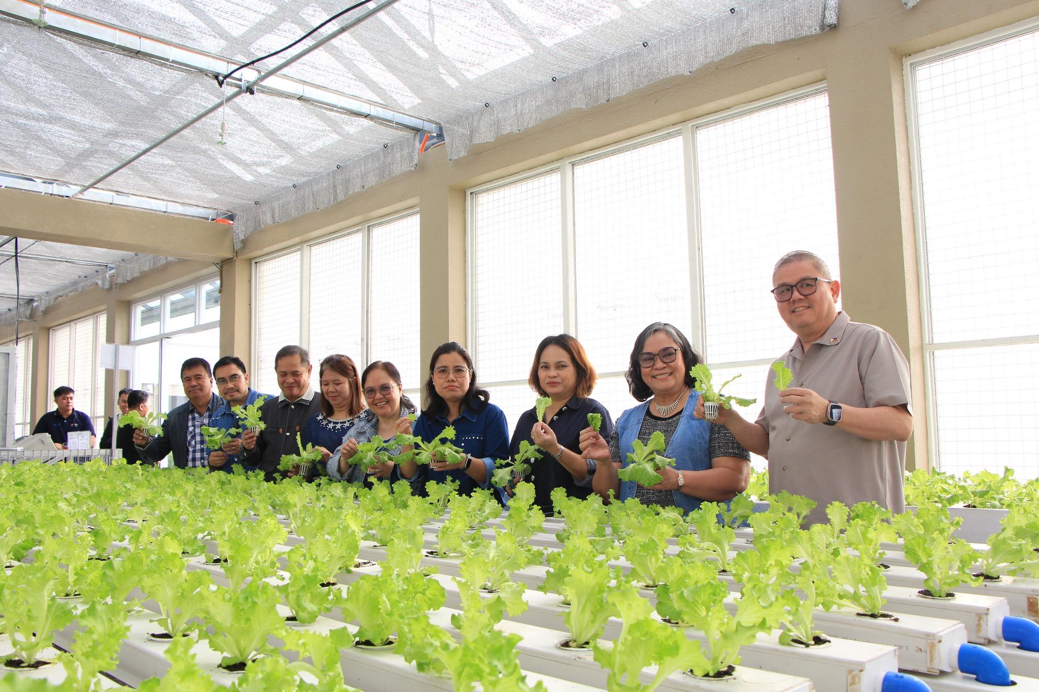 DA eyes expanding ‘White Revolution’ to ensure year-round veggie production