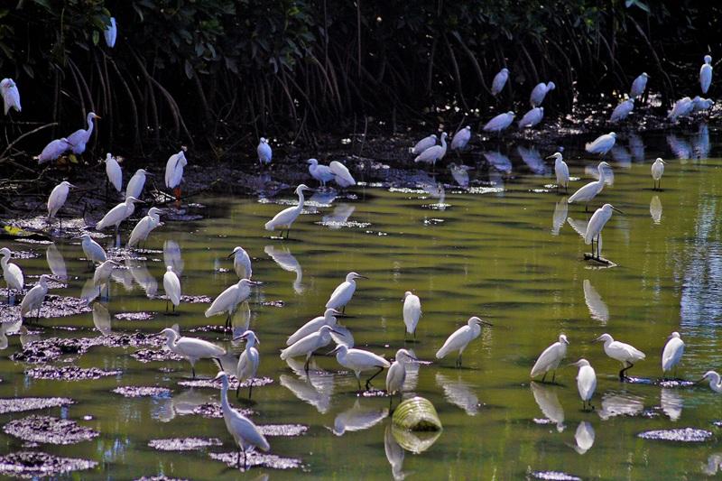 Pampanga, Cavite emerge among top destinations as Filipinos favor quick, nearby trips