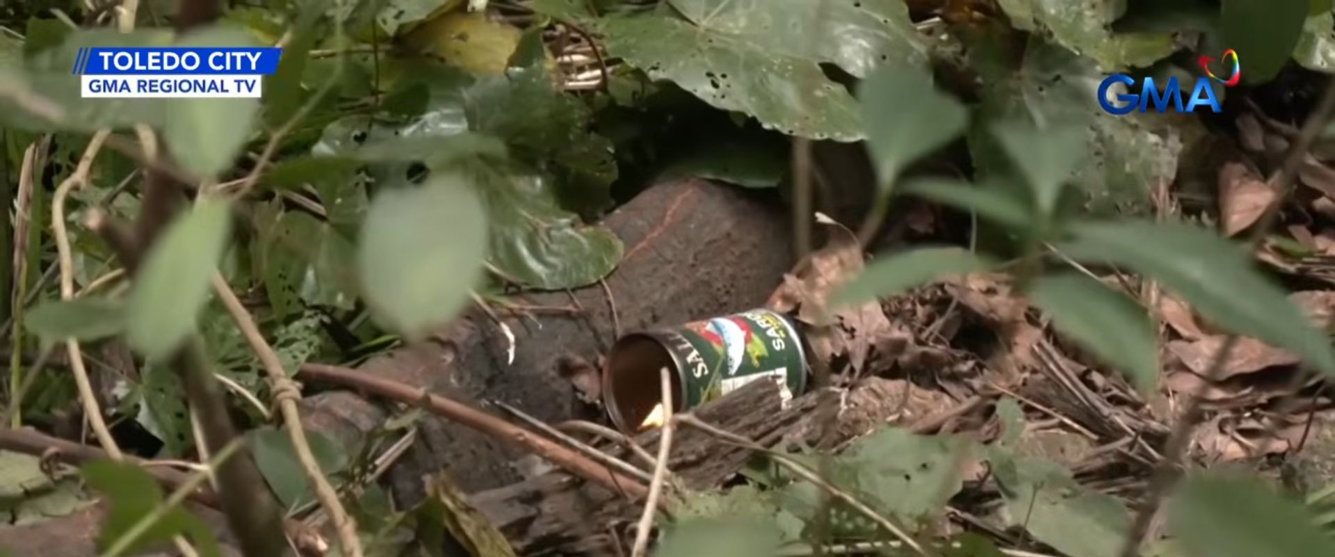 Missing girl found decapitated, tied to a tree in Toledo City, Cebu