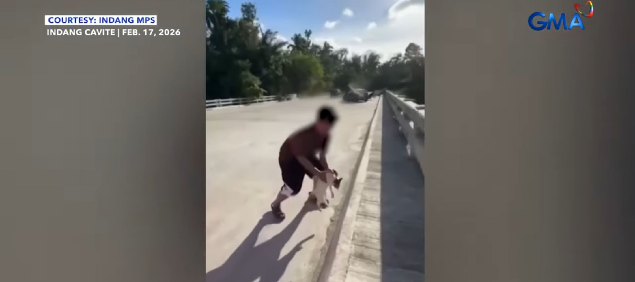 Pusang buntis, pinulot at hinagis sa tulay ng lalaking inakalang patay na ito sa Cavite
