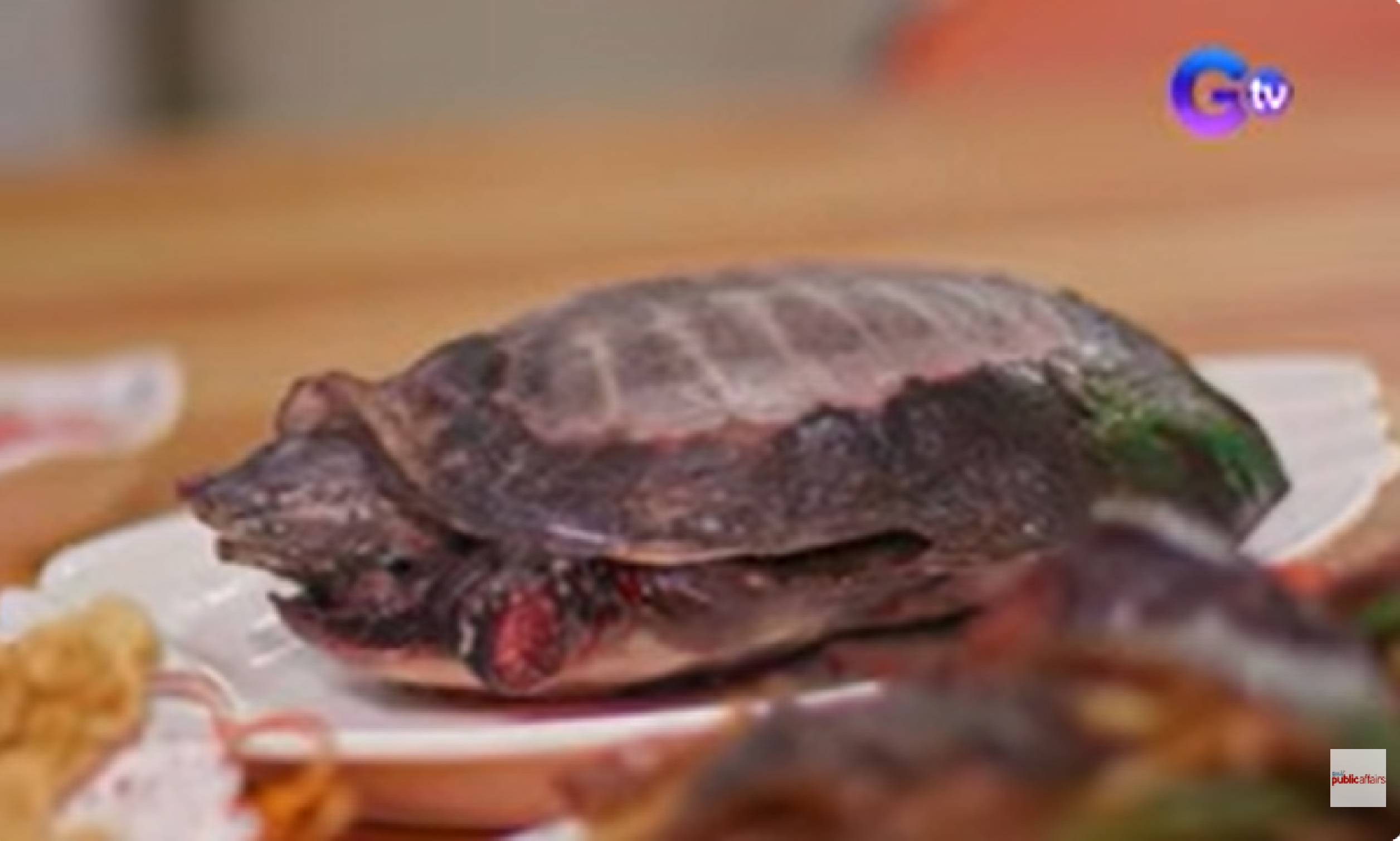 Palaka at karne ng pagong na mga Chinese exotic food, matitikman sa Binondo