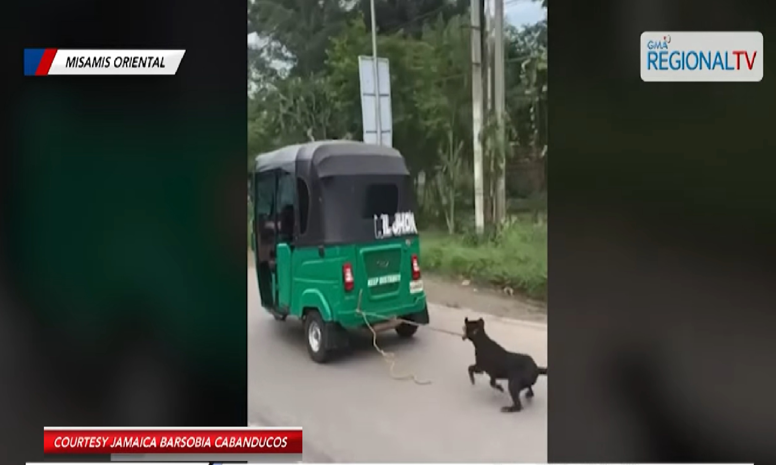 Aso, nahuli-cam na nakatali sa tricycle na mabilis ang takbo sa Misamis Oriental