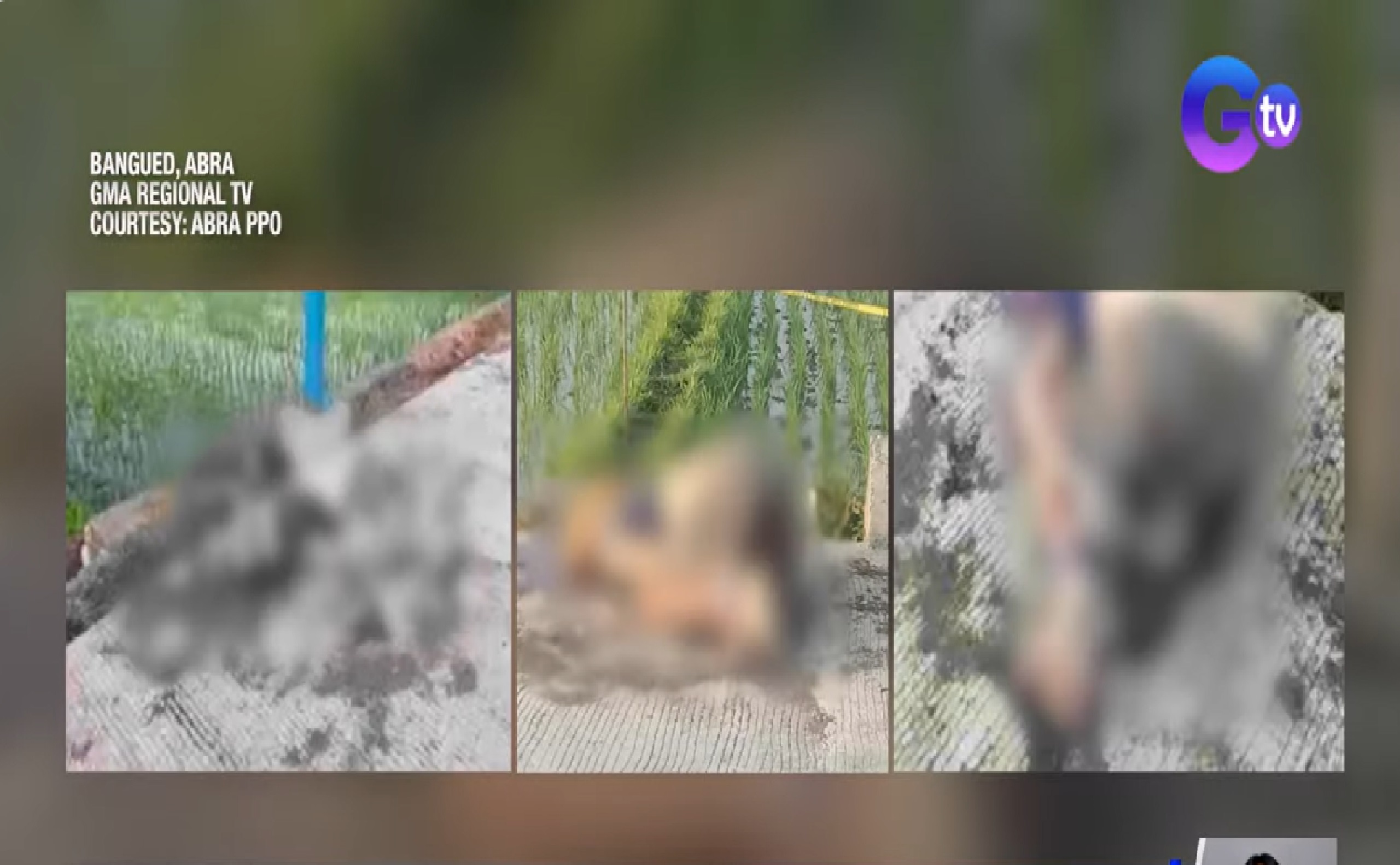 Bangkay ng 27-anyos na lalaki, nakitang nakagapos at may busal sa bibig sa Abra