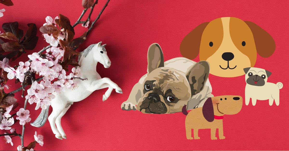 Year of the Fire Horse: A 2026 forecast for those born in the Year of the Dog