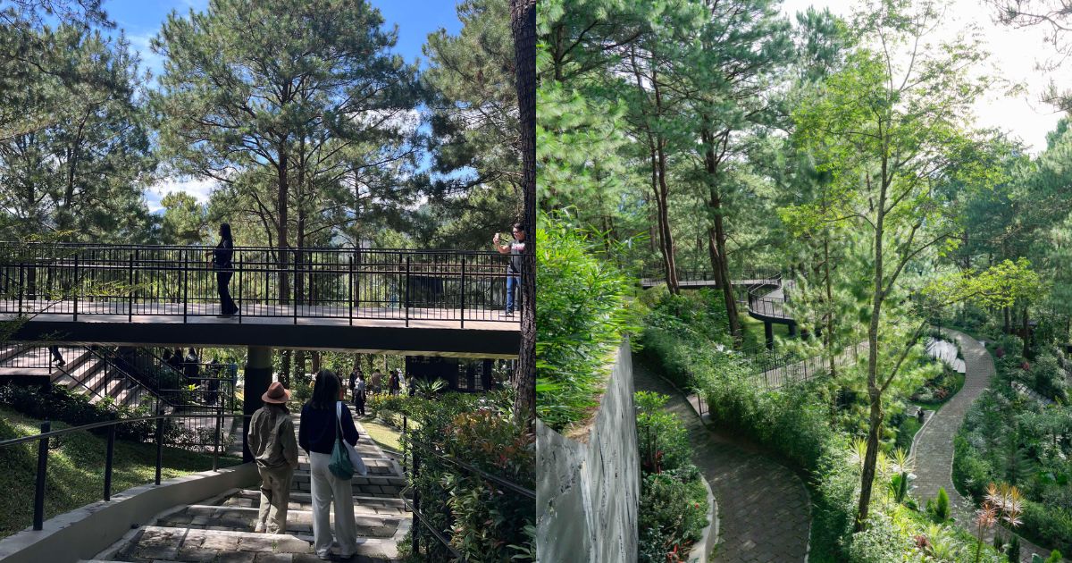 In Benguet, a forest park's deep respect for nature shines through
