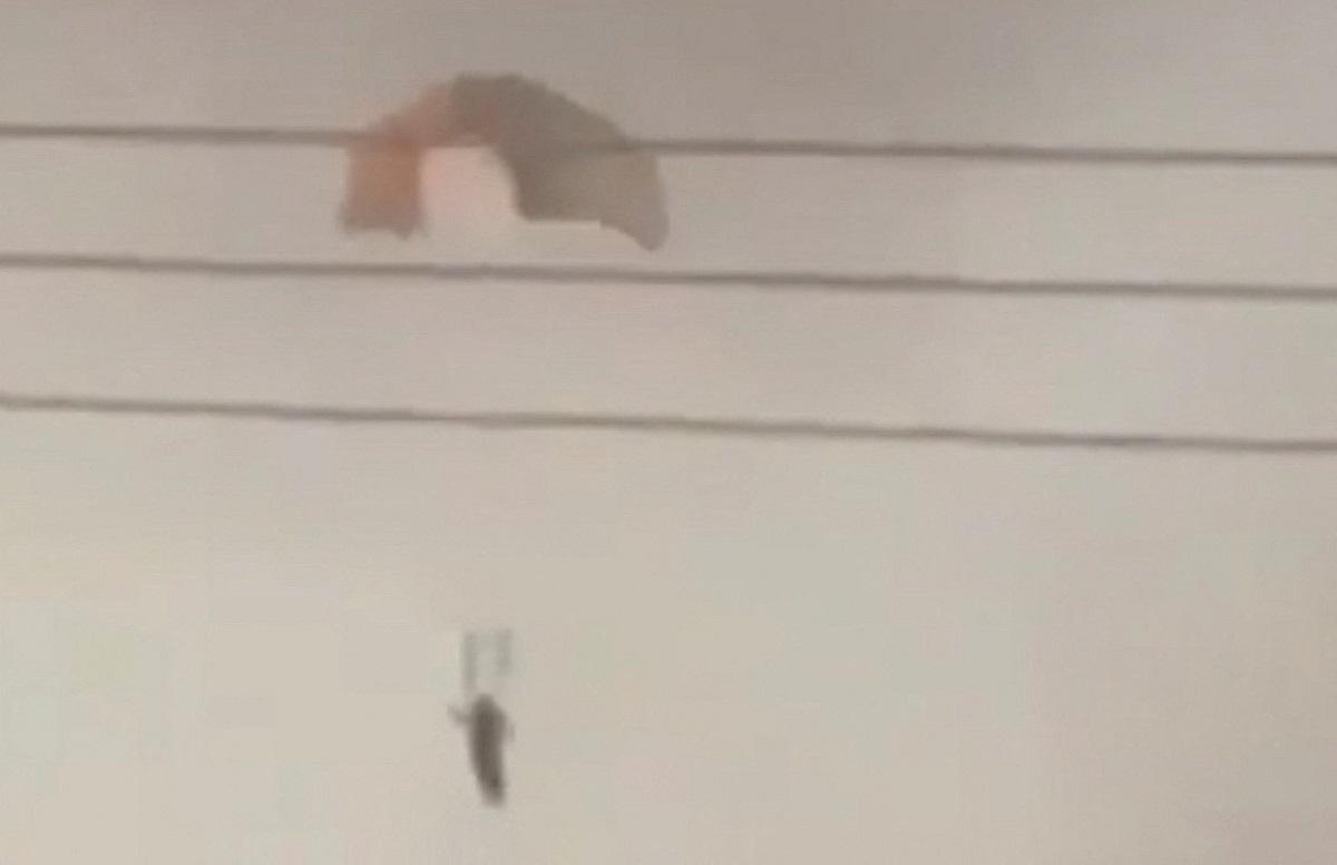 Kuwait shoots down US jets in friendly-fire incident, US CENTCOM says