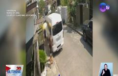 3 babae, nahuli-cam sa pagputol ng mga sanga ng ‘pitogo’ na ginagawang palaspas