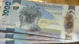 Remittances hit 11-month low in April 2026