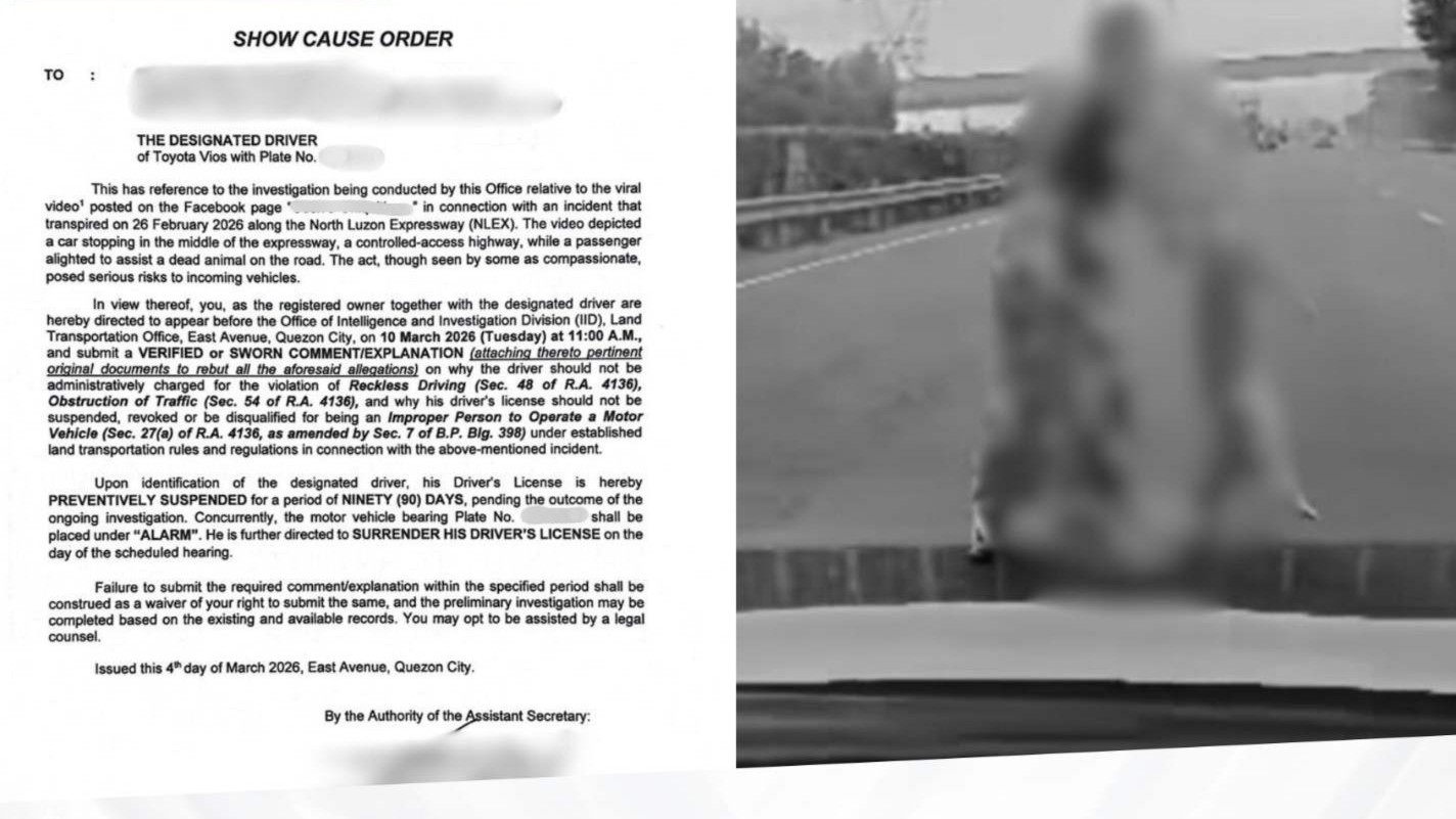 LTO summons driver for stopping to help dead animal on NLEX