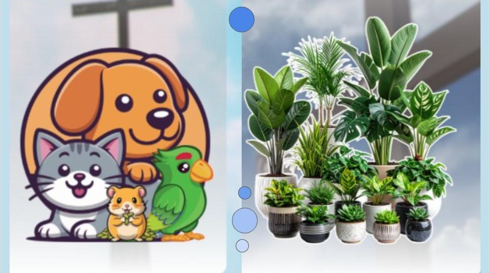 PPA issues reminders for fur parents, plantitas for Holy Week 2026 travel