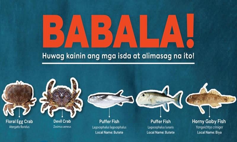 BFAR reminds public to avoid eating poisonous fish, crabs