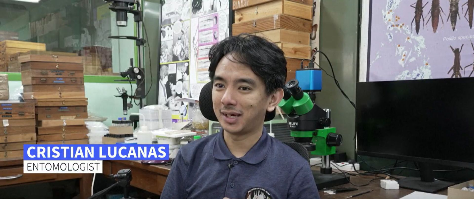 Philippines' 'Ipis Lord' goes to bat for misunderstood bugs