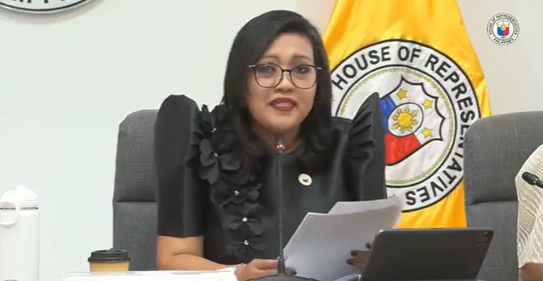 House panel chair: SC didn't clear VP Sara Duterte of impeachment allegations